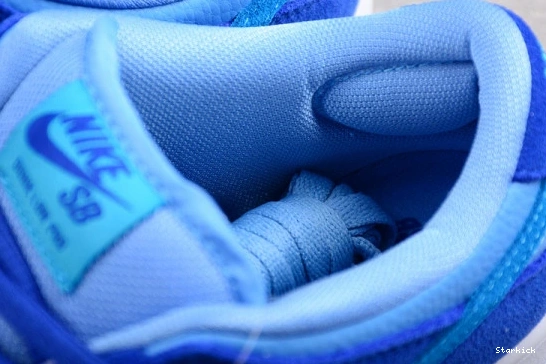 Low Nike Raspberry Dunk SB DM0807-400 Blue 0121